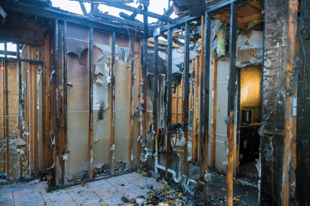 Professional Smoke Damage Removal technician working in Anahola, HI